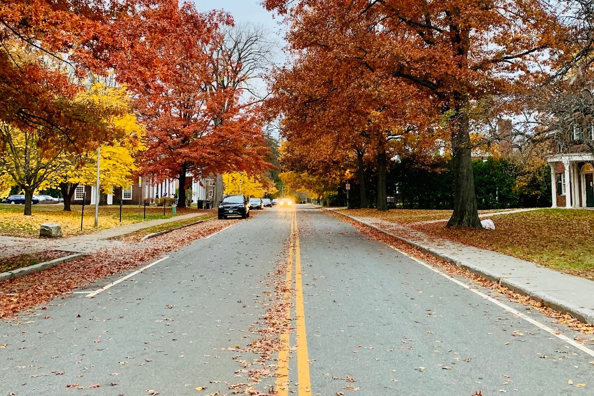 Tree-lined street in peak autumn color