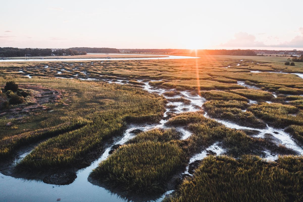 Low-country salt marsh at sunset